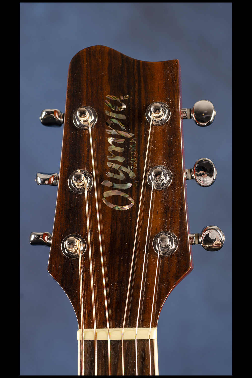 Olympia acoustic guitar hotsell